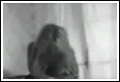 mp041.gif image by kikemed