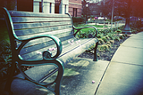 FlowersonBench.png image by speakeasyfilms